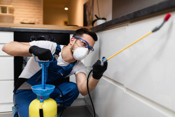 Best Commercial Pest Control Services  in Madelia, MN