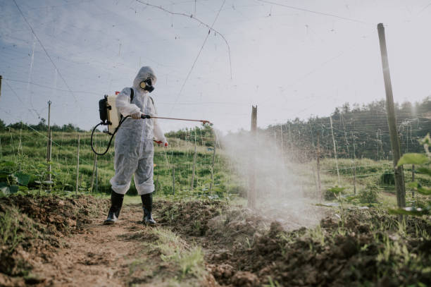 Best Affordable Pest Control Services  in Madelia, MN