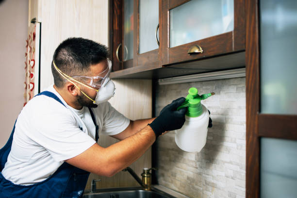 Best Local Pest Control Services  in Madelia, MN