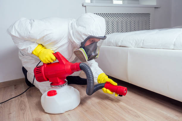 Best Wasp Removal Services  in Madelia, MN