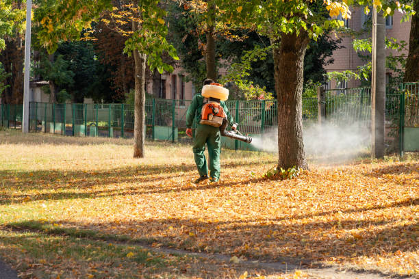 Best Residential Pest Control  in Madelia, MN